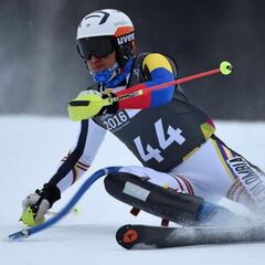 Colombia en los Olímpicos de Invierno: Deportistas y disciplinas