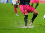 El entrenador de Santa Fe se refirió al estado del terreno de juego tras el empate ante Pereira.