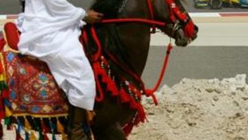 <b>REGRESO. </b>La carrera de Bahrain, pese a las protestas, se terminará disputando esta temporada.