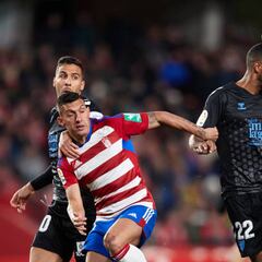 Aprobados y suspensos del Málaga: Cada vez más cerca de la catástrofe