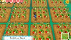 Imágenes de Story of Seasons