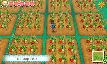 Captura de pantalla - Story of Seasons (3DS)