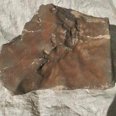 Encuentra una piedra en mitad del Sáhara y acaba siendo el mayor trozo marciano más caro de la historia