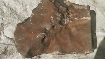 Encuentra una piedra en mitad del Sáhara y acaba siendo el mayor trozo marciano más caro de la historia