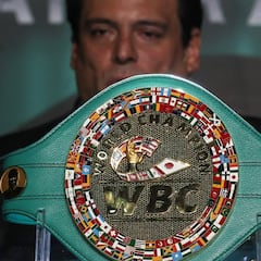 El WBC crea una división entre el peso crucero y el pesado