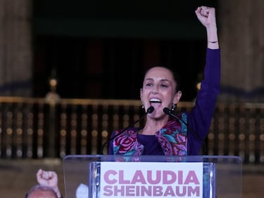 ¿Qué estudios tiene Claudia Sheinbaum? A qué se dedicaba la presidenta antes de ser política