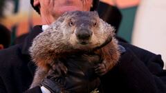 Groundhog&#039;s day is February 2nd. What is the groundhog&#039;s name who will tell us whether Spring is here or winter will last a few more weeks? 