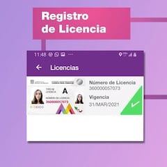 Licencia de conducir en Edomex: cómo conseguir la digital | Precios y requisitos