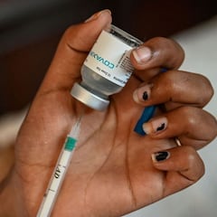 Prometedores resultados de un 'cóctel de vacunas'