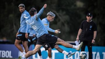 Everton se refuerza con un seleccionado uruguayo y llega desde Botafogo: sorpresa en el mercado