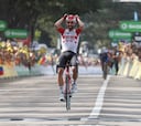Tour de Francia 2019: resumen, resultado y ganador de la etapa 8