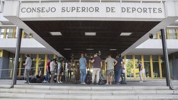 El CSD abre el plazo de consulta para las profesiones del deporte