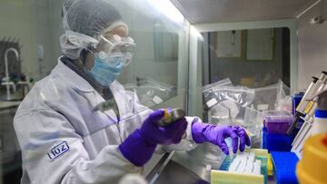 La tapsigargina puede ser el medicamento que acabe con la COVID-19