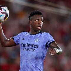 Soluciones Vinicius S. L.