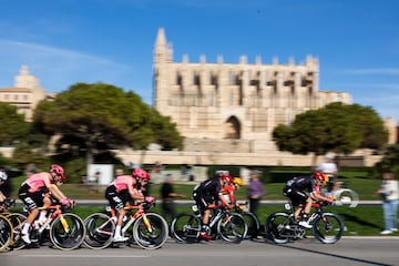 El pelotón, a su paso por la catedral de Mallorca
