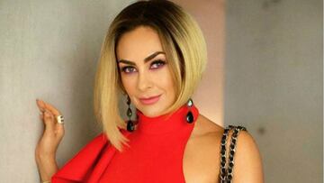 ¿Aracely Arámbula en la segunda temporada de la serie de Luis Miguel?