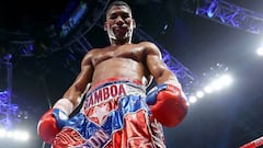 According to multiple reports, the Cuban boxer was arrested after a car accident that caused the death of a passerby on New Year’s Eve.