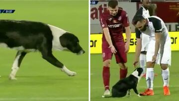 Pocas veces se ha visto... un perro invade el terreno de juego y los jugadores tienen que sacarlo