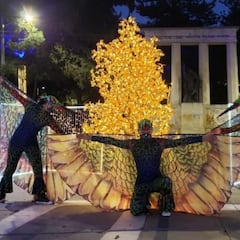 Noche de Velitas 2020: ¿qué se hace en Colombia por el feriado de la Inmaculada Concepción?