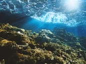 Científicos descubren casi 100.000 montañas sumergidas en un cambio sin precedentes de la cartografía marina