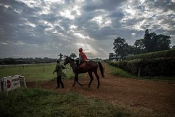 El jockey Richard Kibet.