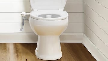 Adiós al papel higiénico: el sucesor que ahorra espacio en el baño y que se instala en solo 10 minutos