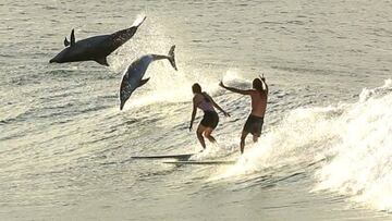 Delfines saltando en una ola en la que tambi&eacute;n hay dos surfistas surfeando, en Byron Bay (Nueva Gales del Sur, Australia).