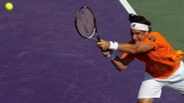 David Ferrer cae ante Fish y Djokovic prolonga su racha