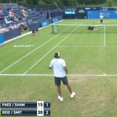 Al tenis se puede jugar sentado: miren este puntazo antológico