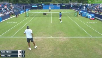 Al tenis se puede jugar sentado: miren este puntazo antológico