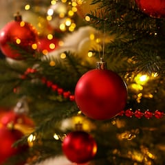 Rossana Novoa, experta en decoración navideña: “Muchas personas, al decorar su árbol, sienten que algo les falta”