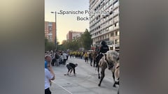 Dortmund fan faces turbulent encounter with mounted policeman at the Bernabéu