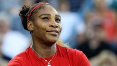 Williams can make history at Flushing Meadows affirms Navratilova