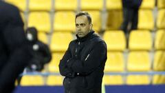 Fran Fern&aacute;ndez, entrenador del Alcorc&oacute;n, durante un partido.