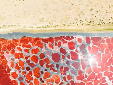 Vista aérea del lago de sal roja en el desierto de China. 