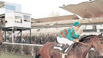 <b>TRIBUNA HISTÓRICA. </b>La Zarzuela abrirá con sus gradas históricas.