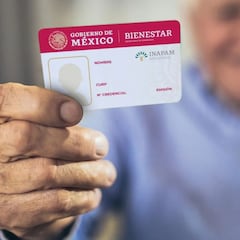 Estos son los tres apoyos económicos que podrás solicitar si tienes credencial INAPAM