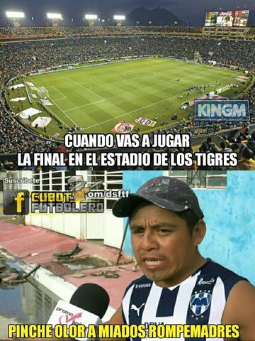 Disfruta los 50 mejores memes de Tigres campeón