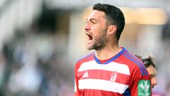 Jorge Molina celebra un gol con el Granada.