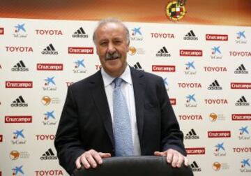 Después de un breve paso con Besiktas y el Cádiz, cogió las riendas del combinado Nacional en julio de 2008, en sustitución de Luis Aragonés.