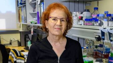 Margarita del Val avisa del lugar en el que hay que tener "especial cuidado" las próximas semanas