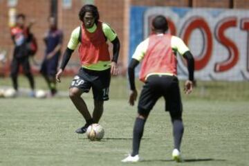 Intensidad y trabajo en el entrenamiento verdolaga