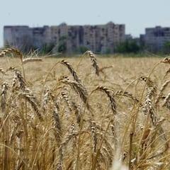 Turquía asegura que Ucrania y Rusia llegan a un acuerdo