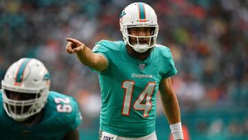 Tras un paso de dos a&ntilde;os con los Dolphins, Fitzpatrick jugar&aacute; durante la campa&ntilde;a 2021 en Washington, lo que representa su noveno equipo profesional.