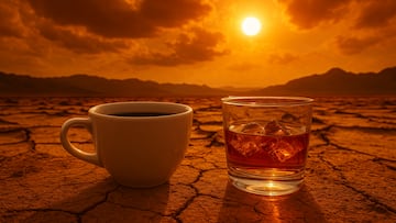 Coffee, whisky, heat - artist's impression