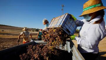 Coronavirus: ¿qué hacer si un compañero de trabajo da positivo por Covid-19?