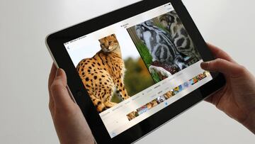Cómo hacer un vídeo con fotos desde iPhone y iPad