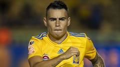 Lucas Zelaray&aacute;n, Tigres