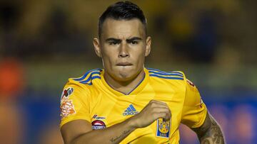 Lucas Zelaray&aacute;n, Tigres