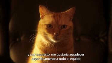 Equinox Latam Game Awards 2022, ganadores, sorpresas y momentos especiales